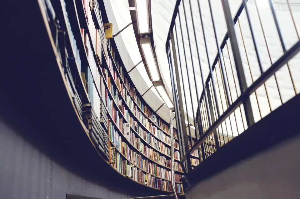 Curved wall of library shelves rising beneath tall windows